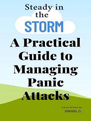 cover image of Steady in the Storm